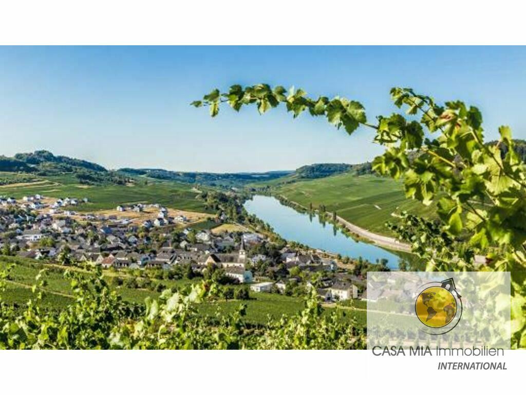 Office for Rent in SCHWEBSANGE – 1